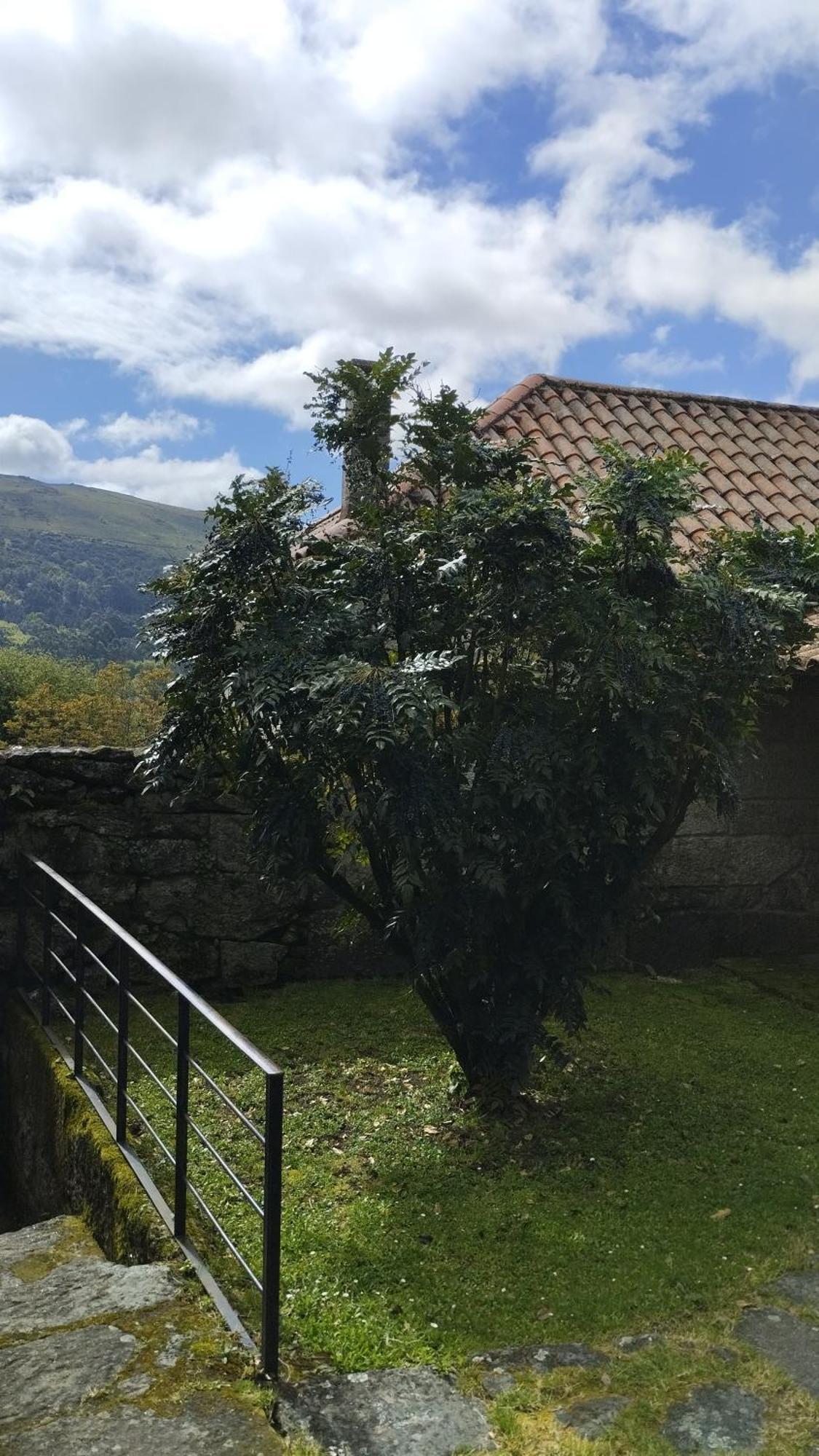 Rectoral De Prado Guest House Pineiro  Luaran gambar